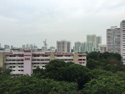 Blk 338 Clementi Avenue 2 (Clementi), HDB 5 Rooms #127627072